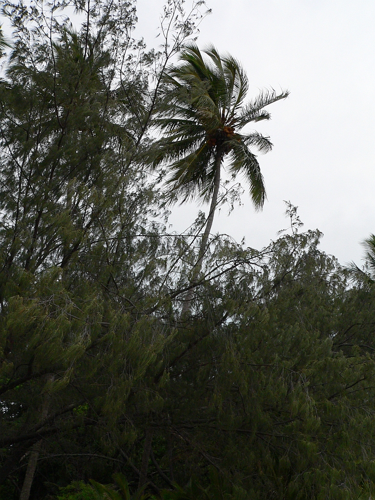 048 Port Douglas.jpg